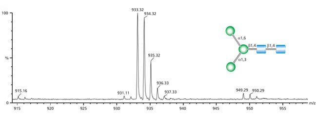 Mass spectrum (relative abundance vs. m/z ratio) of Man-3 glycan showing molecular ion peak, base peak, and fragmentation peaks