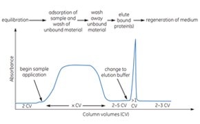 Sample Purification