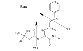 Side-chain protecting groups for solid-phase peptide synthesis (SPPS) are often chosen so as to be cleaved simultaneously with detachment of the peptide from the resin.