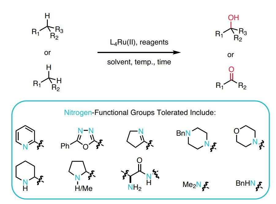 Amine Tolerant Undirected C–H Hydroxylation