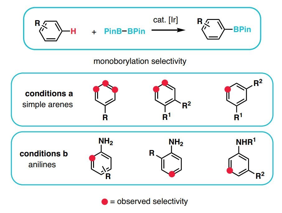 Selectivity in Ir-Catalyzed C–H Borylation.