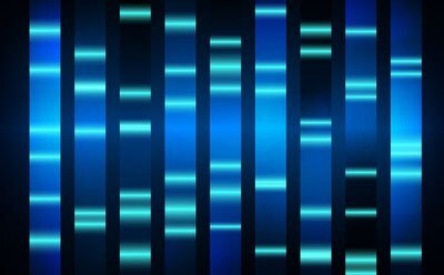 DNA electrophoresis using an agarose gel