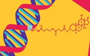 Nucleic Acid Labeling & Detection