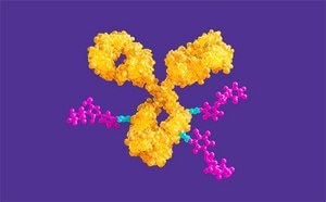 Antibody-Drug Conjugate (ADC) Manufacturing