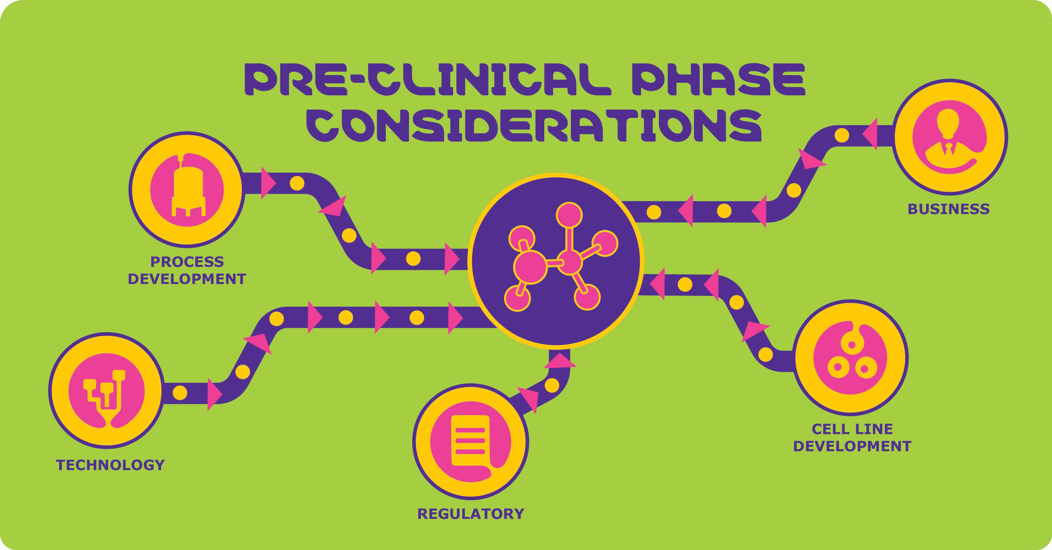 Infographic of considerations affecting the pre-clinical phase of new drug development