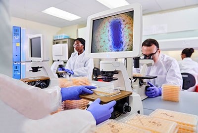 Scientists in a lab analyze samples using microscopes. The setting is modern and busy, and a colorful cell image on a monitor.