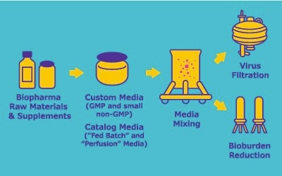 Workflow of 1. Biopharma Raw Materials & Supplements, 2. Custom Media (GMP and small non-GMP) Catalog Media ("Fed Batch" and "Perfusion" Media), 3. Media Mixing, 4. Virus Filtration or Bioburden Reduction.