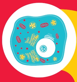 Sample preparation for protein analysis by mass spectrometry