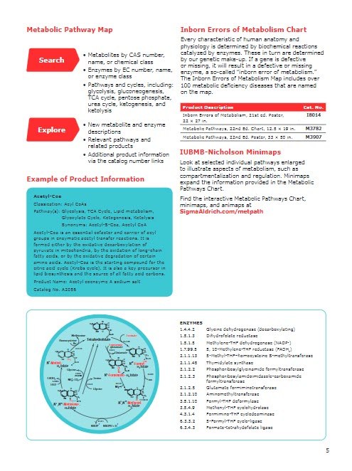 Metabolomic Discovery Brochure Page 5