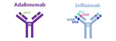 Unique tryptic peptides liberated from infliximab and adalimumab.