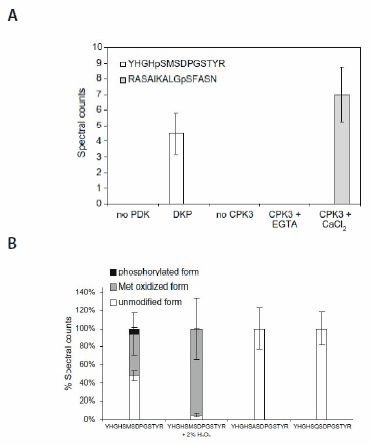  The in vitro assay reveals kinase sensitivity. (A) The recombinant PDK and CPK3 phosphorylate respective cognate substrate peptide in cocktail. (B) Oxidation of Met293 inhibits phosphorylation of Ser292 in the peptide substrate YHGHSMSDPGSTYR. All values are means ± std of four repeats.