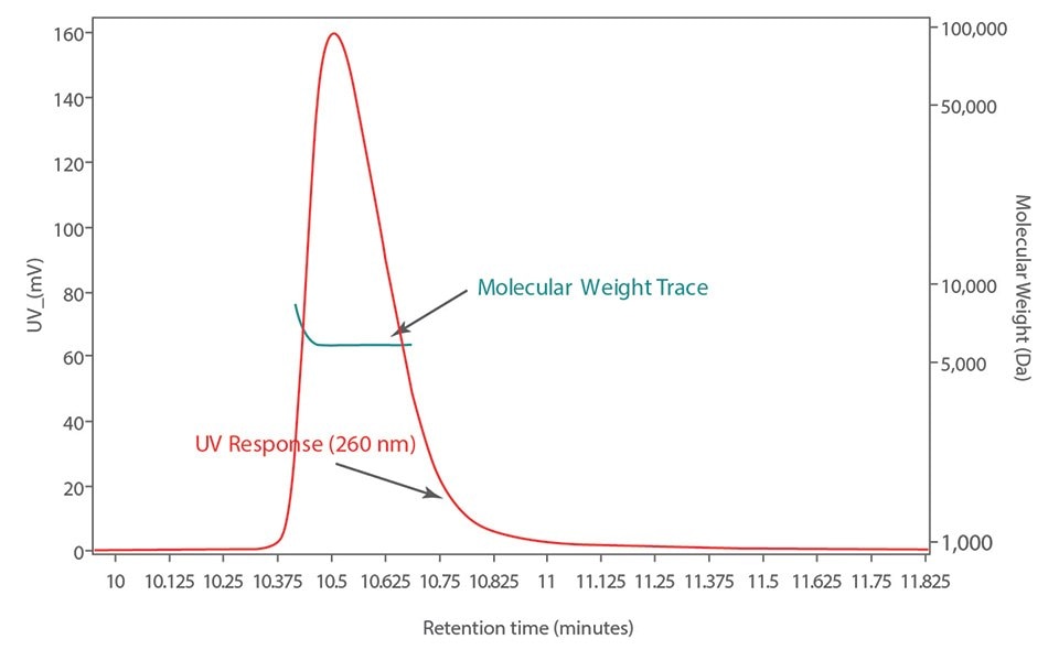 Molecular Weight distribution (green) of the purified 20-mer after MALS analysis