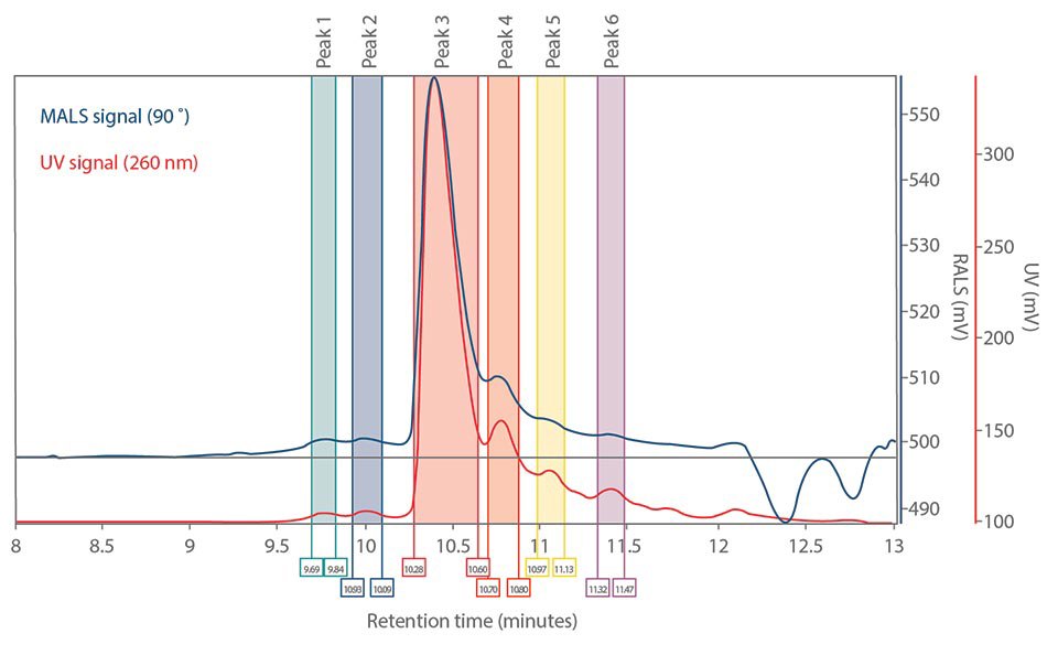 Peak analysis of the unpurified and purified 20-mer after MALS analysis