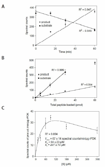 Initial rate analysis of AtPDK. (A) Progress curve of PDK activity. (B) Dynamic range of detection and quantitation of substrate and product peptides. (C) Plot of V versus [S]. All values are means ± std of four repeats. rPDK, recombinant pyruvate dehydrogenase kinase.