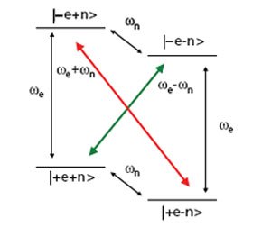 Energy level diagram for a coupled electron-nuclear spin system