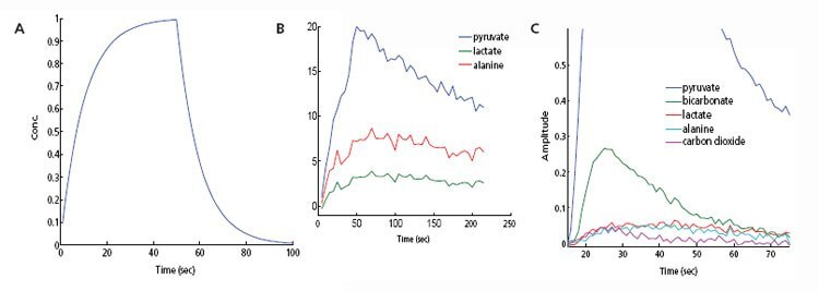 Observed pyruvate signal