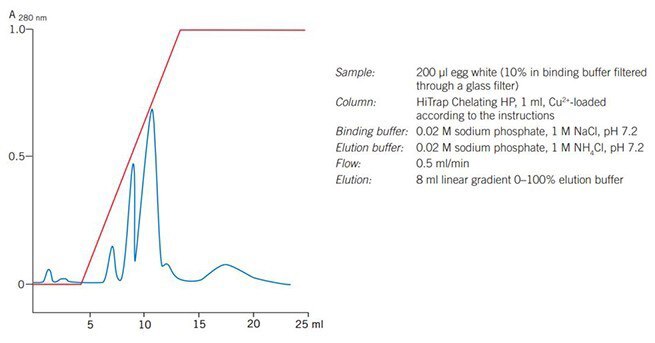  Puriﬁcation of egg white proteins