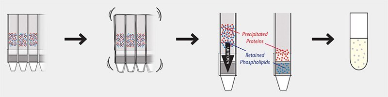 HybridSPE® 96-well Plate Protocol