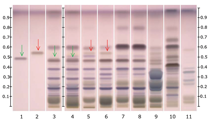 hptlc-chromatograms-under-white-light