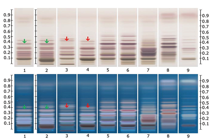 hptlc-chromatograms