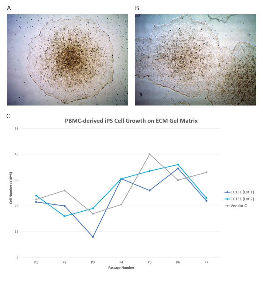 PBMC derived iPS cell growth