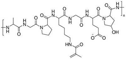 Gelatin Methacryloyl