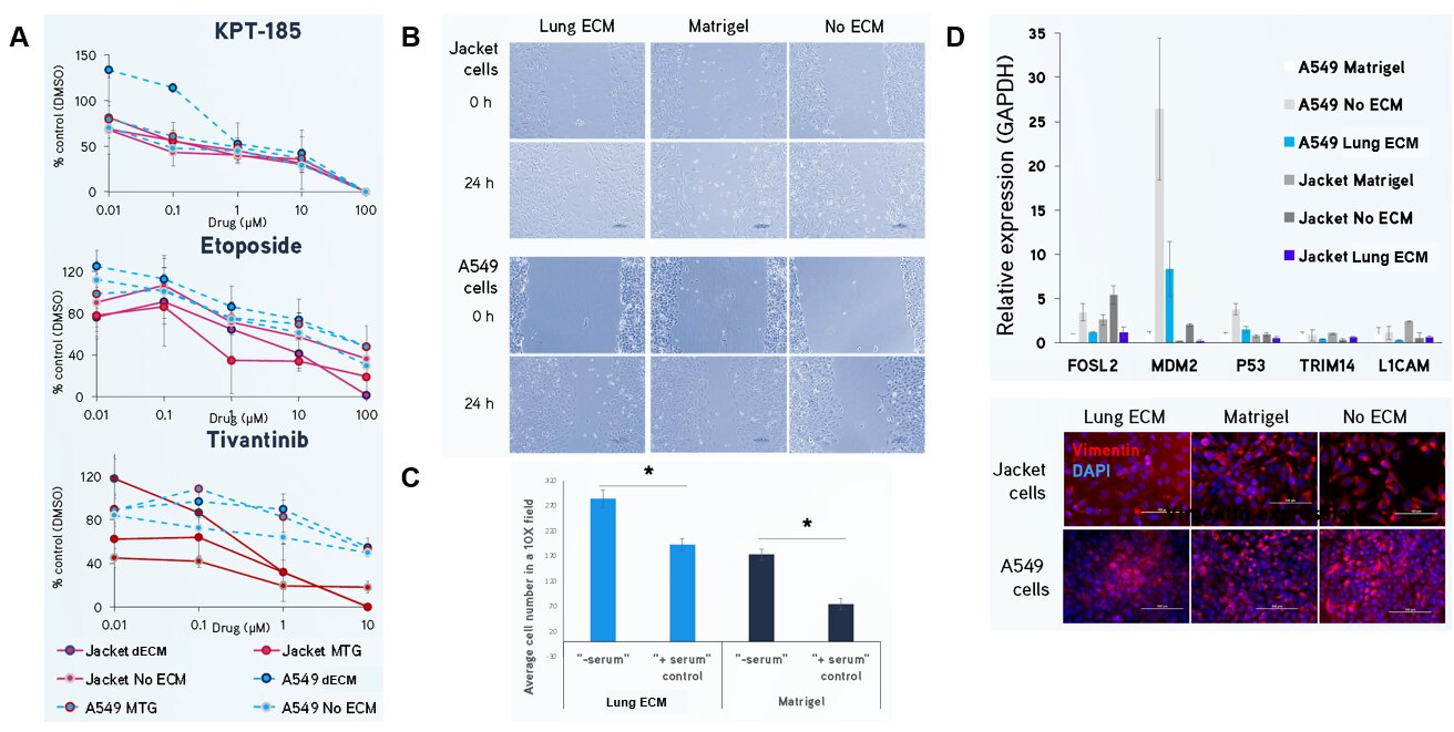  Lung dECM Hydrogels can be used to model human lung cancer.