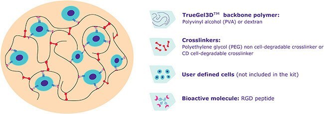 TrueGel3D™ technology