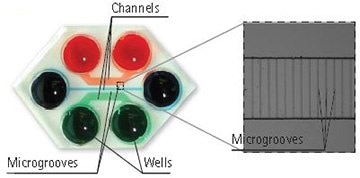 Illustration of the Plasma-bonded AXIS® Device