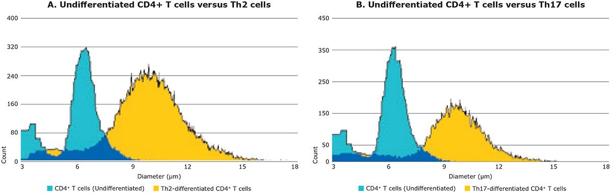 CD4+ T cell differentiation