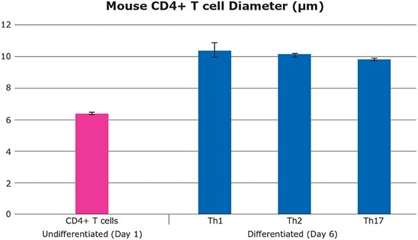 Cell diameter change during CD4+ T cell differentiation