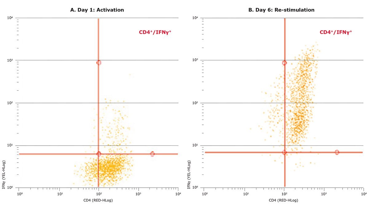 T-Cell Flow Cytometry