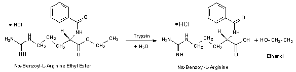 BAEE Reaction