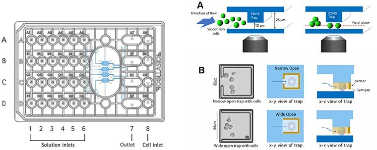 cellasic® onix m04t pad trap plate design.