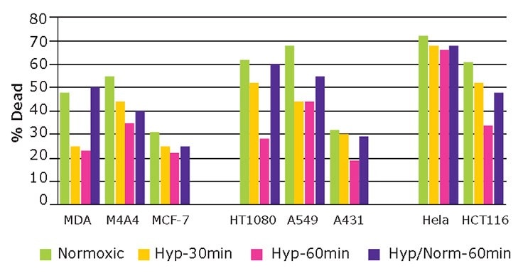 Hypoxic responses of cancer cell lines.