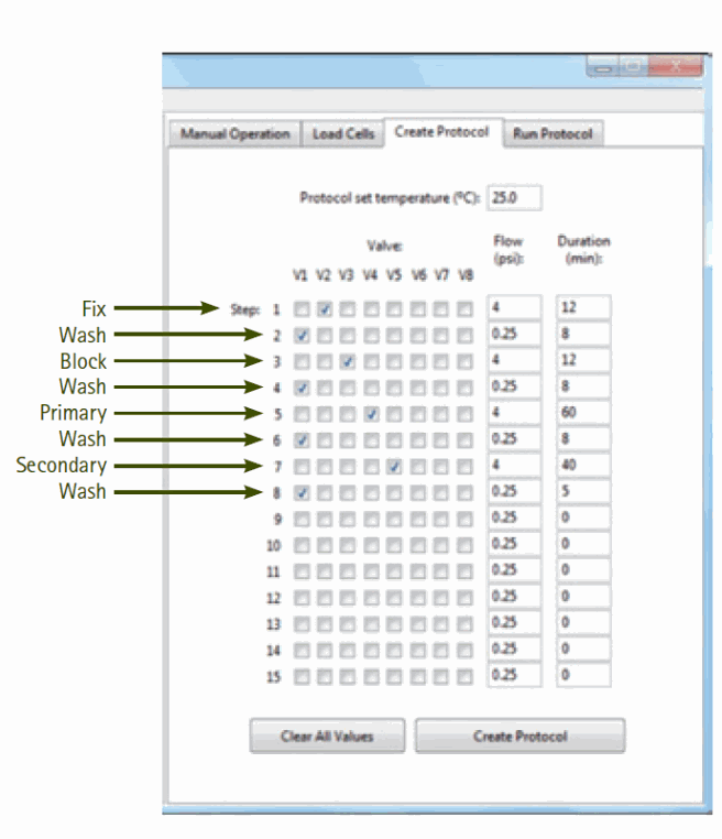 Automated immunostaining protocol for PC-3 cells set up on the CellASIC® ONIX Microfluidic Platform