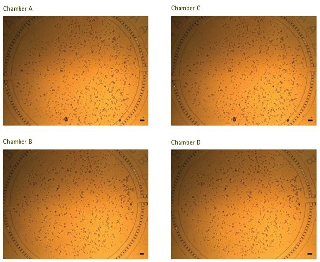 Equal, even pressuredriven cell loading