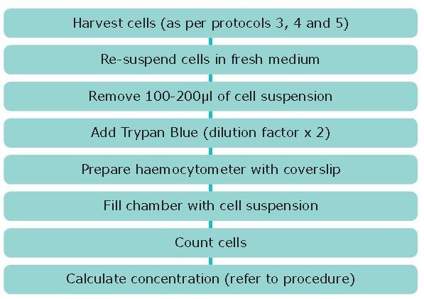 Cell Culture Protocol 6: Cell Counting Using a Hemocytometer