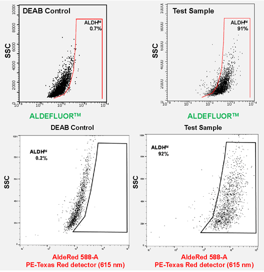 ALDEFLUOR™ and AldeRed™ identify similar CSC populations