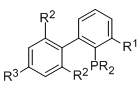 Structural features of dialkylbiarylphosphine Ligands