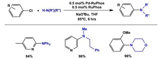 Standard structural features for the Buchwald ligands