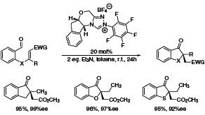 Stetter Reaction