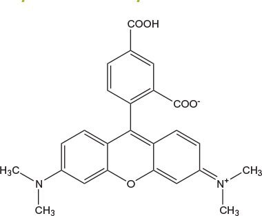 carboxytetramethyl