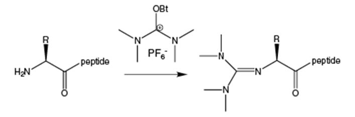 guanidinylation