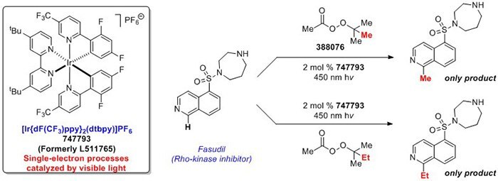 Late-Stage Incorporation of Small Alkyl Groups into Small Molecules of Biological Interest