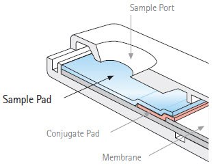 Sample Pad