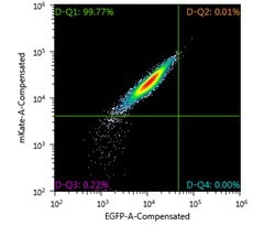 FACS analysis of Jurkat Landing Pad clone prior to Cre-mediated exchange