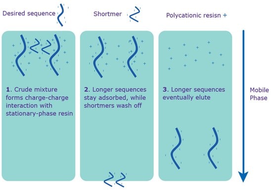 Separation via IE-HPLC