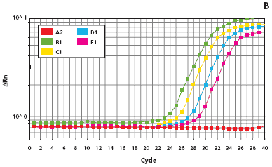  amplification plots for the genomic mouse DNA standards