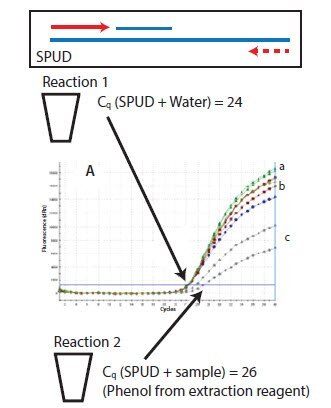 Representation of the SPUD assay